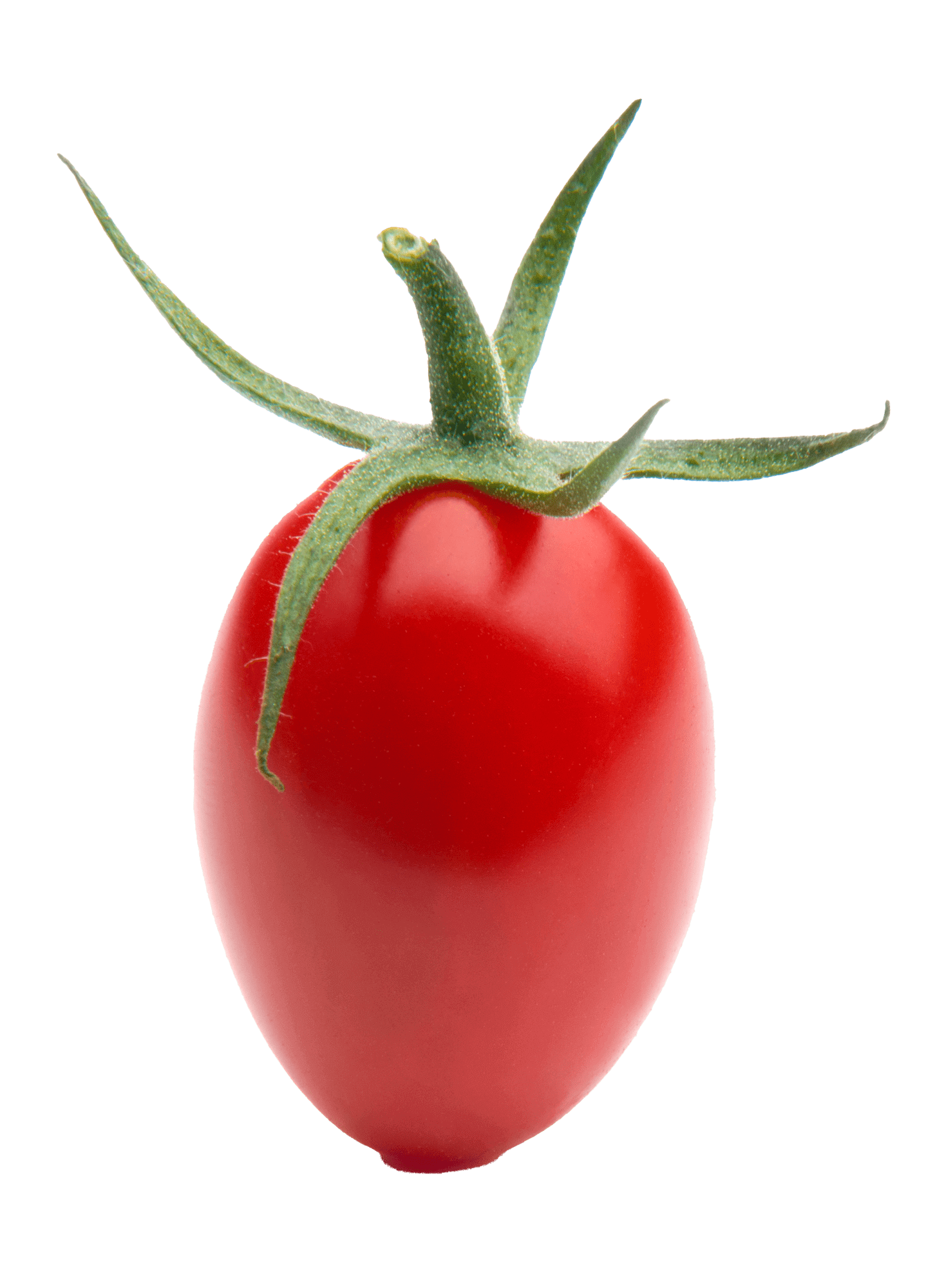 strapcove-paradajky